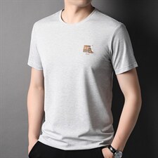 2023夏季冰丝短袖t恤男薄款修身速干透气休闲百搭简约滑料圆领P48，男装T恤，钱塘6003A(原)4033A