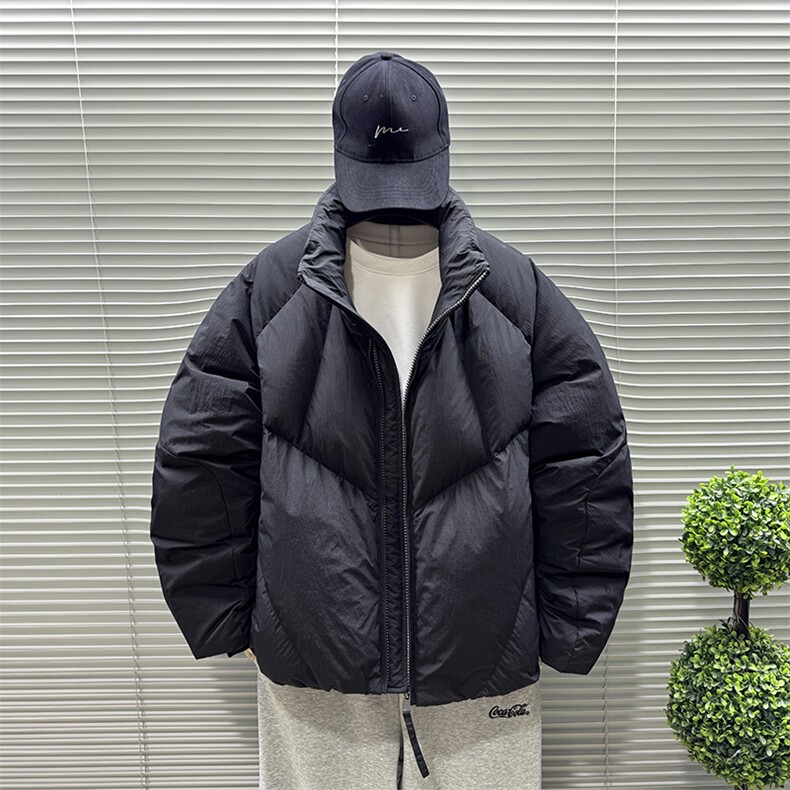 2025新标90白鸭绒短款时尚冬季立领男士羽绒服外套373-P330,男装羽绒服,钱塘708(原3018)