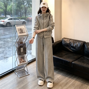 设计高级感休闲运动套装春季季新款气质减龄连帽卫衣直筒裤两件套图片