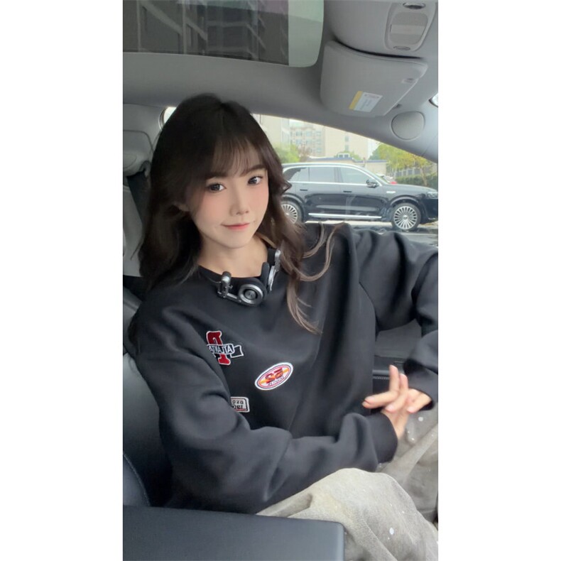 WY10192-特P50加绒特P55美式重磅刺绣圆领卫衣大码套头上衣,男装卫衣,电商A059