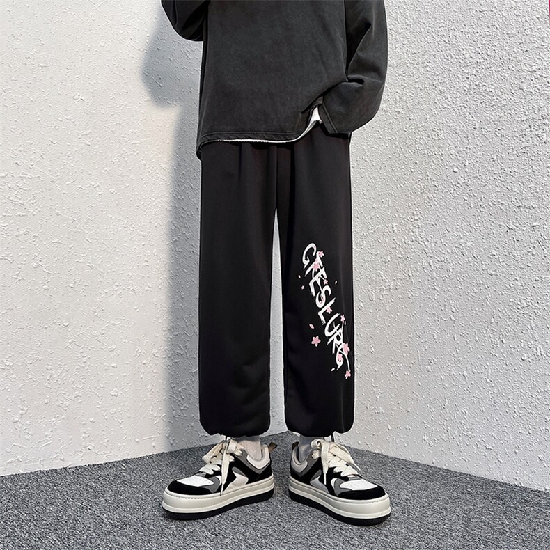 现货2025四季新款抽绳束脚运动印花男港风休闲裤D201-DM79-P45，男装休闲裤，电商D321-1