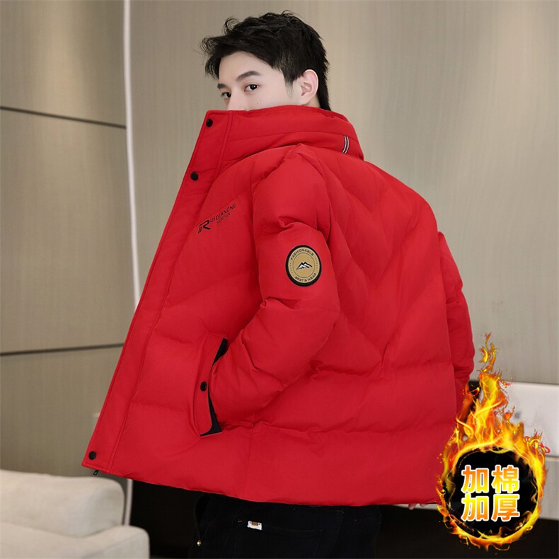 冬季加厚棉衣男休闲时尚青年立领棉衣百搭棉服外套M1801-P78,男装棉衣,星座310B-3