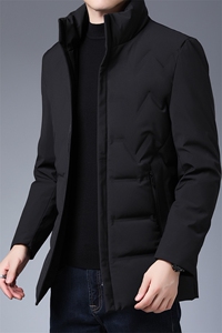 冬季新款羽绒服中年男士立领常规厚款90%羽绒外套KCN20829-5-P220图片