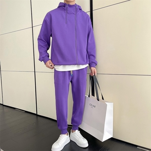 轻奢风男士纯色连帽卫衣休闲卫裤两件套潮牌套装男C208-6786特P98图片