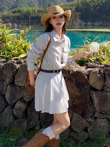 浅蓝色休闲条纹衬衫连衣裙女2025年夏季新款韩系设计感显瘦百褶裙图片