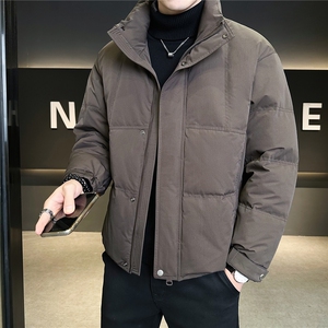 标50绒 羽绒服男冬季2025新款外套 A313-3301-P205劵后298图片
