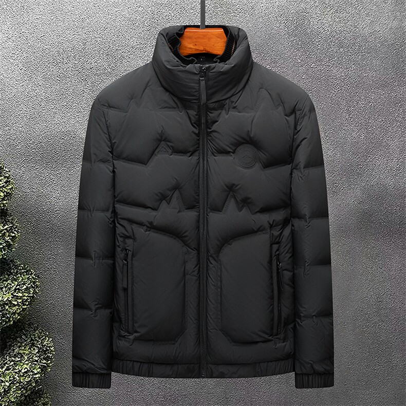 2026冬白鸭绒羽绒服休闲男短款加厚立领保暖青年外套男士潮服，男装羽绒服，钱塘6003（原4033）