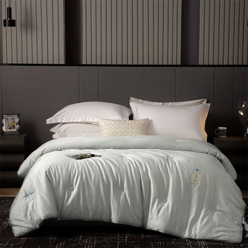 新款抗敏PLUS-净味防霉银丝提花被子被芯，被套/被芯，一起卖家纺