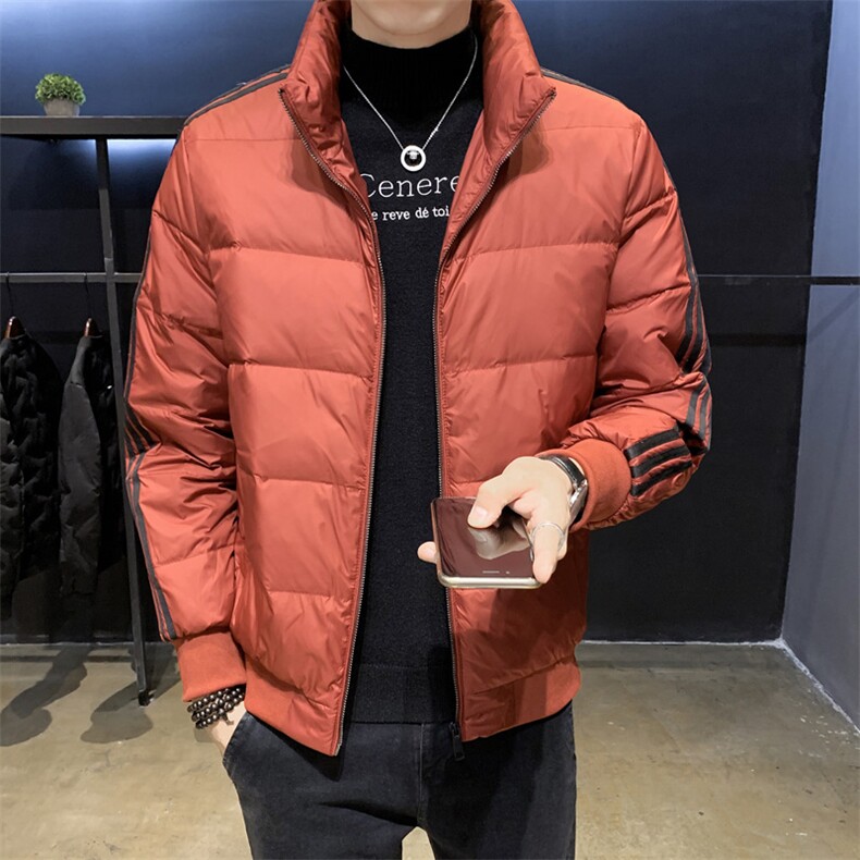 968冬季男士立领拉条羽绒服店主风头风数据款已备货,男装羽绒服,星座414（原B263）