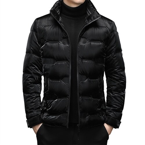 白鸭绒中年男休闲立领羽绒服保暖爸爸装短款羽绒服男YL5806-P275，男装羽绒服，电商B212（原钱塘6029）