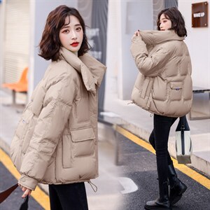 2021年冬季加厚常规立领简约休闲时尚羽绒服ins女图片