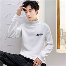 秋冬中领毛衣男小鱼骨头长袖外套男毛衫打底针织衫高领焦M229P35，男装针织衫/毛衣，星座1207