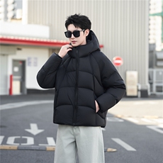 带报告标50白鸭绒高充绒量泡芙男装羽绒服C317-Y8856-P295，男装羽绒服，电商C317