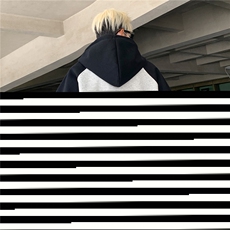 白花灰拼黑色