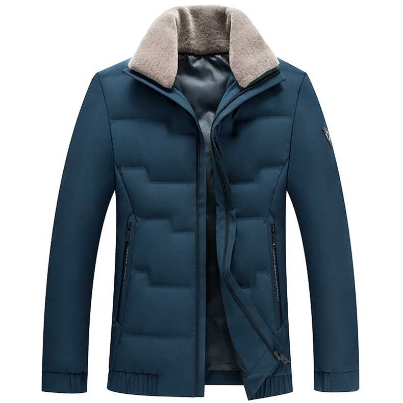 2023冬季新款羽绒服男保暖外套90白鸭绒纯色休闲立领AJYD620-P245，男装羽绒服，电商B212（原钱塘6029）