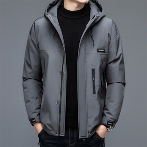 DZ8201钱塘2020-3中年男士冬季厚款有帽商务休闲羽绒服P245图片