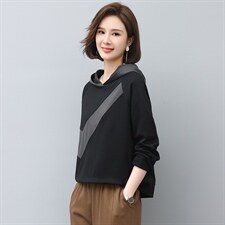2024年春秋季新款刺绣卫衣女连帽衫韩版休闲百搭长袖上衣服女棉，女装卫衣/绒衫，忆绮罗