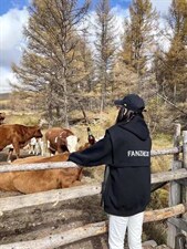 卫衣2件套，女装卫衣/绒衫，奈米爱