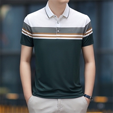 polo衫中年商务休闲男装夏季新款男士短袖T恤半袖翻领撞色上衣服，男装Polo衫，电商B212（原钱塘6029）