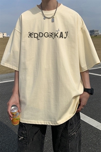 已注册/夏季外景纯棉设计感小众短袖T恤男潮宽松体恤衫DT9670/P25图片