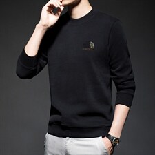 FL-M1651限价118元男式2023春季新款长袖T恤男休闲男装卫衣P73图片