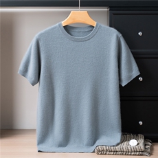 2025年秋季圆领夏季常规款宽松型青春流行不连帽短袖，男装T恤，戎禾素