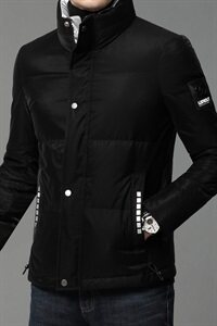B811钱塘2020-1冬季男士羽绒服高端90白鸭绒P270图片