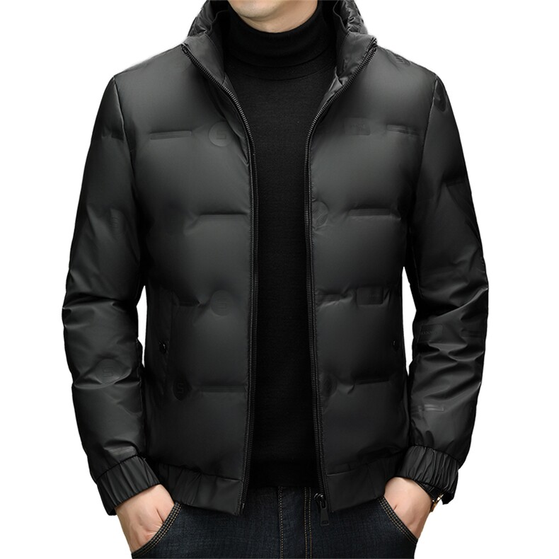 秋冬季白鸭绒立领羽绒服休闲男士简约短款时尚商务户外防寒男外套,男装羽绒服,钱塘6003（原4033）