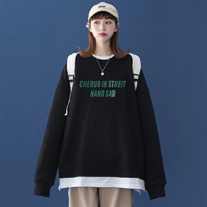 秋季潮流港风中性印花宽松情侣休闲套头卫衣男女 W334 P45控48图片