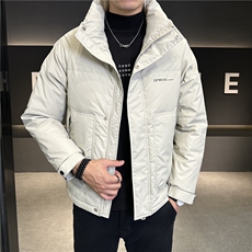 冬季新款男士立领白鸭绒加厚防寒羽绒服外套上衣YRYR191P155，男装羽绒服，电商B226