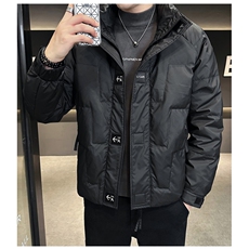 冬立领潮牌白鸭绒御寒加厚保暖韩版青年防寒短款外套派客服男装，男装羽绒服，钱塘6003（原4033）