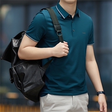 polo衫中年商务休闲男装夏季新款男士短袖T恤半袖翻领宽松上衣服，男装Polo衫，电商B212（原钱塘6029）