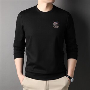 D66209钱塘2020-2中青年男士春秋新款百搭时尚长袖T恤货稳P62图片