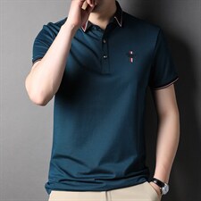 2023夏季新款中年男士翻领短袖T恤潮流POLO衫商务休闲时尚男上衣，男装T恤，电商B212（原钱塘6029）