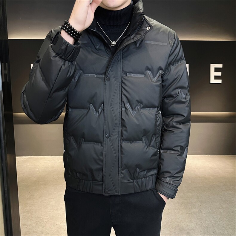 DS-A225-8707新标三防面料男士立领免洗潮流时尚休闲鸭绒羽绒服,男装羽绒服,电商A225