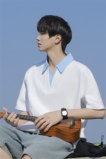 夏季大码公版拼色翻领POLO衫男休闲，男装Polo衫，星座1107-1