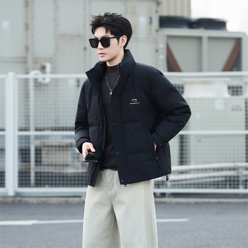 标50绒轻薄立领羽绒服男冬季2025新款外套6633-M-4XL-P215,男装羽绒服,电商B255