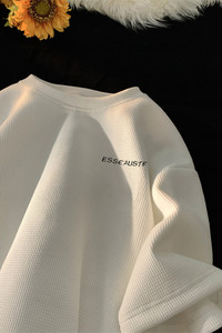 2025夏季新款字母刺绣华夫格短袖宽松 M~5XL XZ604-DT403-P25控38图片