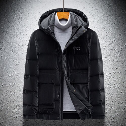 22冬季中青年男士时尚休闲90白鸭绒连帽羽绒服外套AJY82138-P275图片