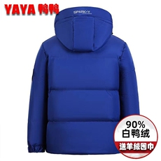 现货外贸侧飞图立领光板团体服班服宽松韩版情侣学生外套羽绒服，男装羽绒服，星座301D-5(原星座1415）