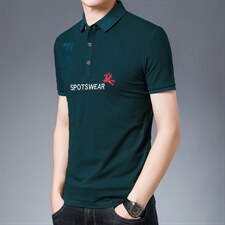 保罗polo衫男2023夏季新款潮流刺绣翻领上衣宽松黑色商务体,男装T恤,电商B212（原钱塘6029）