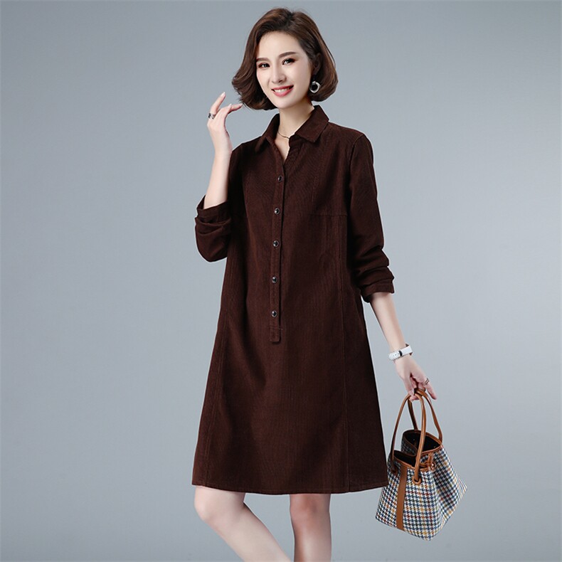 2021春秋季新款时尚休闲翻领衬衫连衣裙,女装连衣裙,小林双子