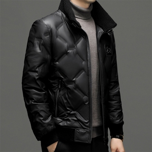 羽绒服男士新款秋冬季宽松休闲中青年保暖立领外套 FF2806-P265图片