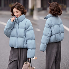 短款羽绒服女2025冬季新款时尚立领落肩袖小个子休闲白鸭绒外套，女装羽绒服，冬木谷雨