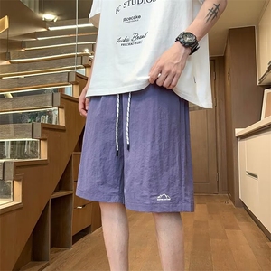 夏季日系户外简约速干短裤男女刺绣潮流基础款宽松运动休闲沙滩裤图片