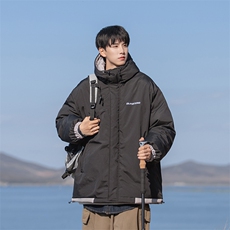 B225-W8521-P135-X178-纯色刺绣连帽棉服-材质-60%棉-40%聚酯纤维，男装棉衣，电商B225