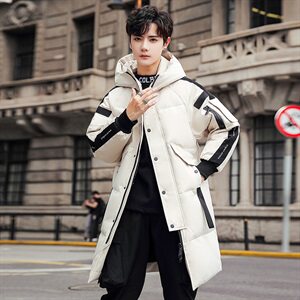 2020电商B247冬季新款韩版中长款羽绒服休闲连帽外穿男1966图片