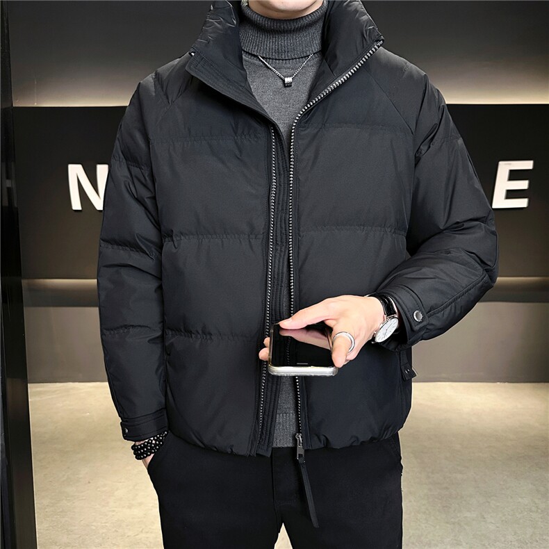 标50绒 立领男士羽绒服冬季2025新款加厚外套 A313-58030-P185图片