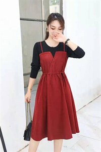 【现货】秋装新款韩版时尚假两件套连衣裙,女装连衣裙,萱萱家
