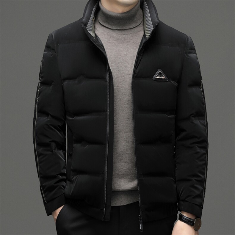 冬季新款立领加厚保暖羽绒服中年男士商务休闲爸爸装白鸭绒外套,男装羽绒服,电商B212（原钱塘6029）